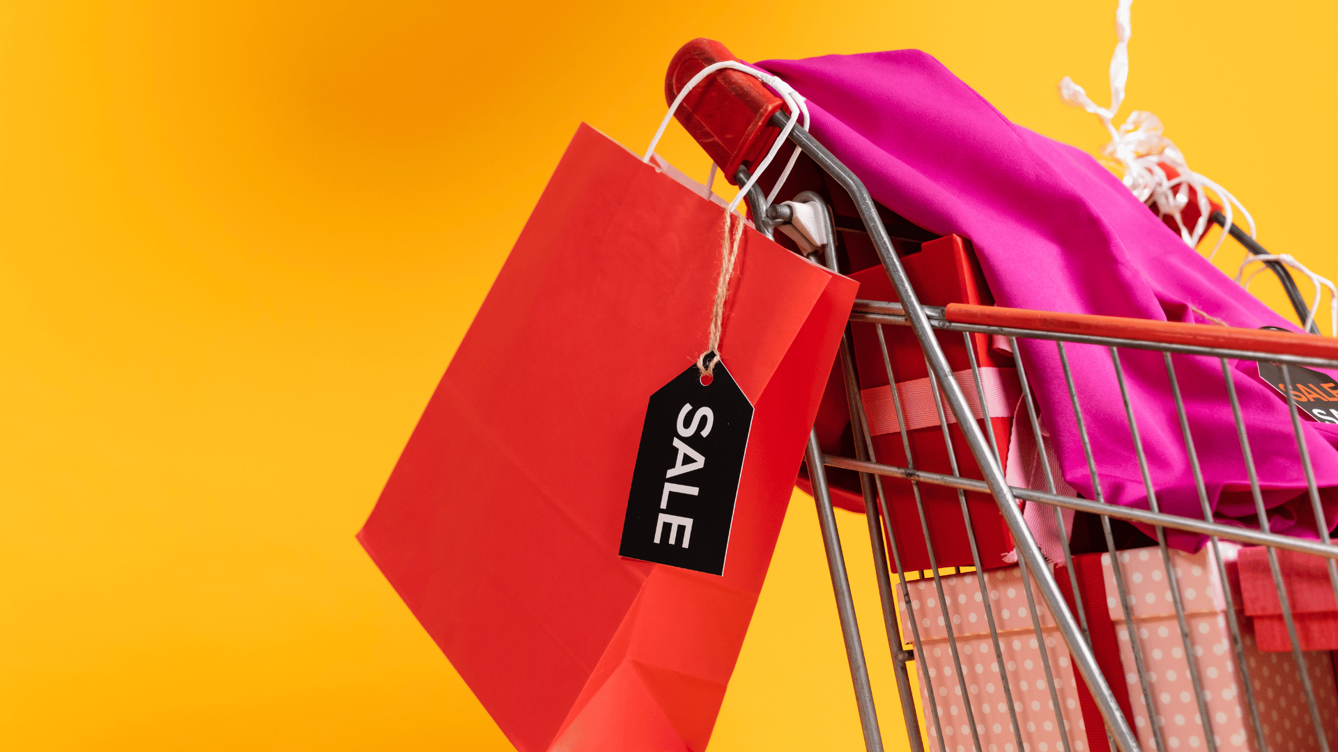 Little Wonders special sale offer